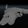 Hộp Sọ Bò Bison (Bison Skull) - Thumbnail 4