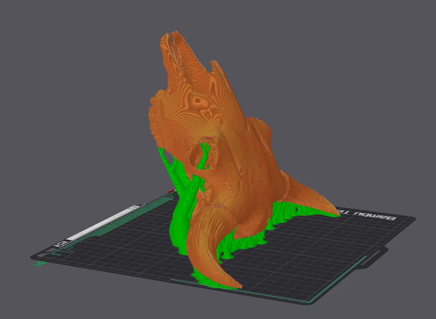 Hộp Sọ Bò Bison (Bison Skull) - Image 5