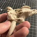 Hộp Sọ Bò Bison (Bison Skull) - Thumbnail 7