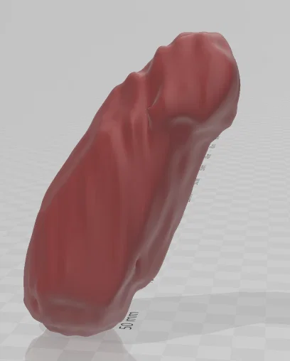 Giải phẫu người trưởng thành 1 - CT Scan - Image 5