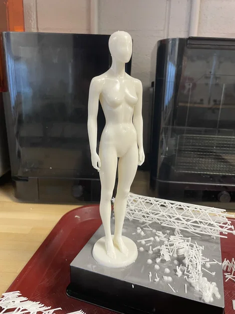 Mô hình Ma-nơ-canh nam và nữ thu nhỏ (tỷ lệ 1:8) in 3D - Image 2