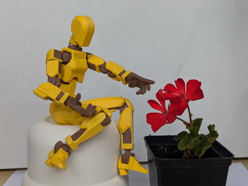 Mô hình Lady Dummy 13 - Figure nữ linh hoạt in 3D - Image 1