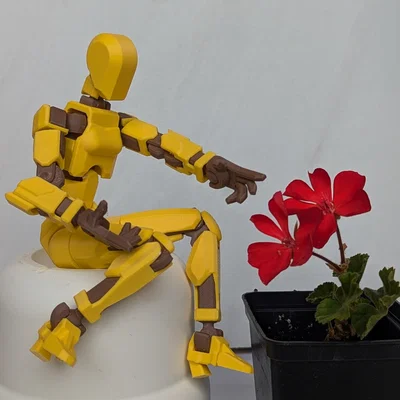 Mô hình Lady Dummy 13 - Figure nữ linh hoạt in 3D