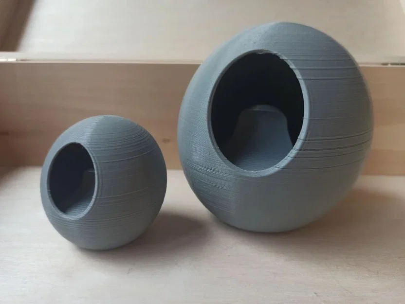 Grub trong Hollow Knight + Shell (2 phiên bản) - Image 3