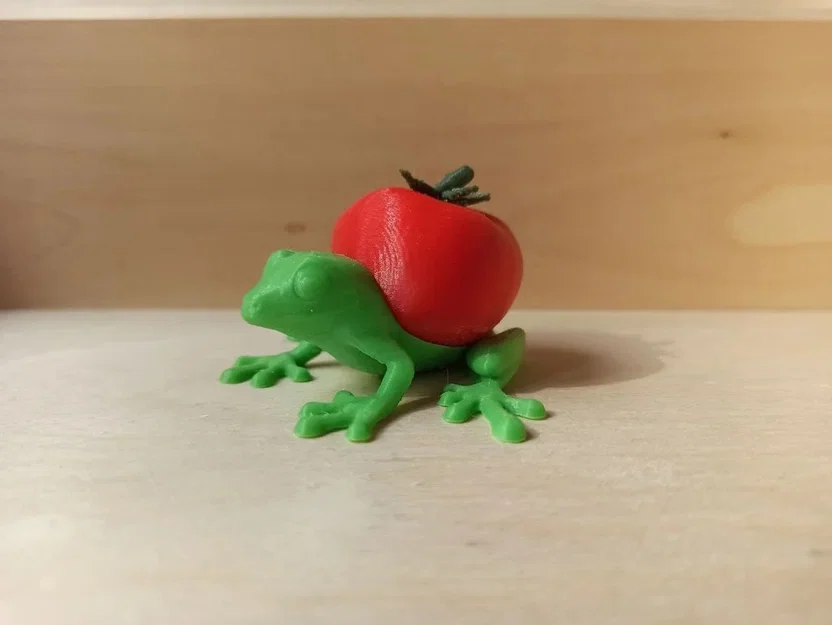 Ếch Cà Chua (Tomato Frog) - Image 1