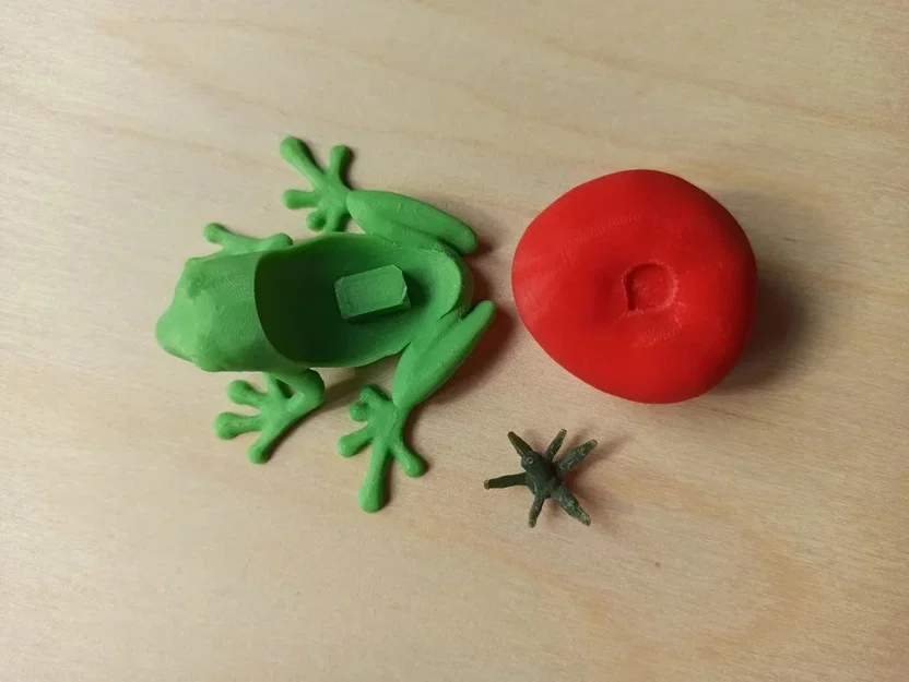 Ếch Cà Chua (Tomato Frog) - Image 2