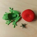 Ếch Cà Chua (Tomato Frog) - Thumbnail 2