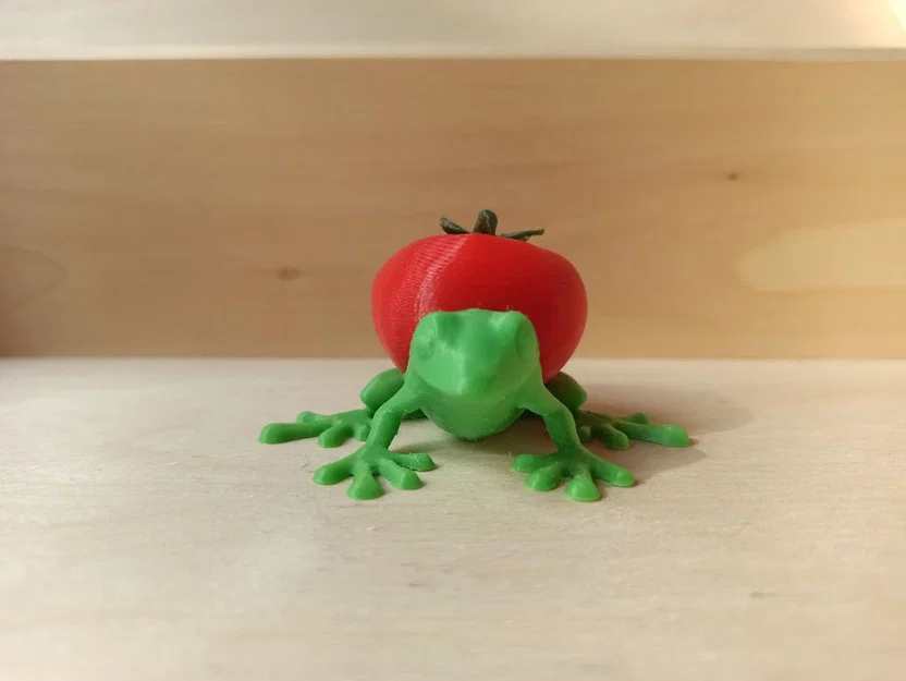 Ếch Cà Chua (Tomato Frog) - Image 3