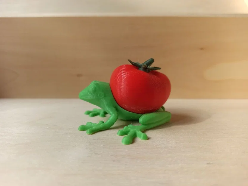 Ếch Cà Chua (Tomato Frog) - Image 4
