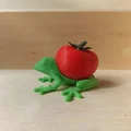 Ếch Cà Chua (Tomato Frog) - Thumbnail 4