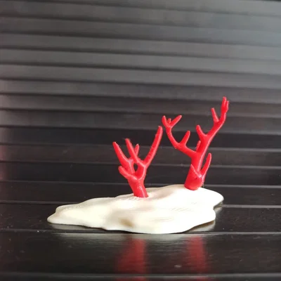 Giá đỡ san hô cho cá Betta