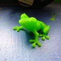 Mô hình ếch cử động linh hoạt (Articulated Frog Remix) in 3D - Thumbnail 1