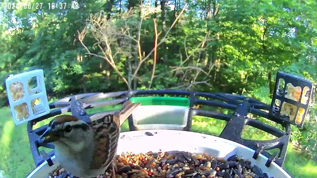 Bệ đậu Birdfy Pro Elite và phụ kiện - Image 2