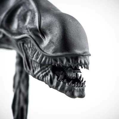 Đầu Alien Xenomorph (Alien Xenomorph Head)