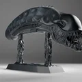 Đầu Alien Xenomorph (Alien Xenomorph Head) - Thumbnail 3