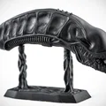 Đầu Alien Xenomorph (Alien Xenomorph Head) - Thumbnail 4