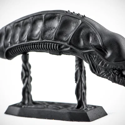 Đầu Alien Xenomorph (Alien Xenomorph Head)