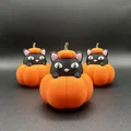Mèo Trong Bí Ngô | Halloween - Thumbnail 1