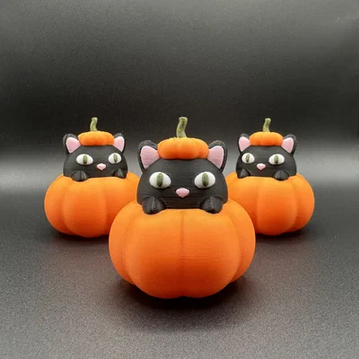 Mèo Trong Bí Ngô | Halloween