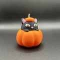 Mèo Trong Bí Ngô | Halloween - Thumbnail 2