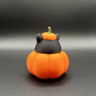 Mèo Trong Bí Ngô | Halloween