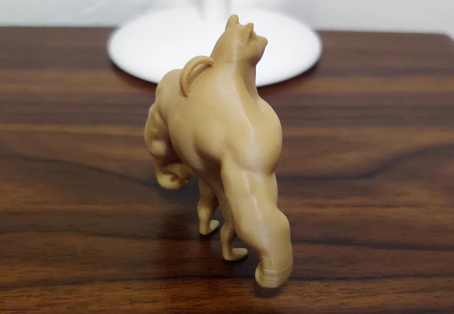 Mô hình Shiba-inu cơ bắp (Swole Doge) - In 3D cực chất - Image 5