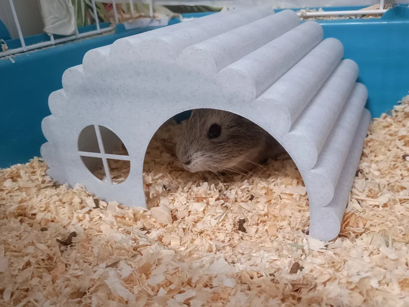 Nhà gỗ cho hamster / guinea pig - Image 2