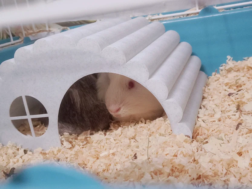 Nhà gỗ cho hamster / guinea pig - Image 3