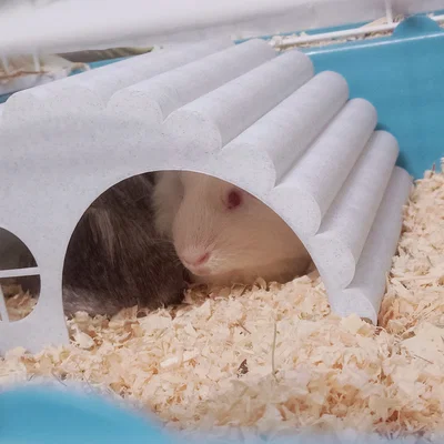 Nhà gỗ cho hamster / guinea pig