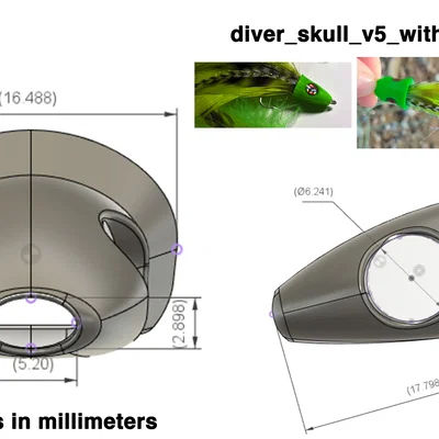 Đầu lâu cá (Fish Skulls) cho Fly Tying