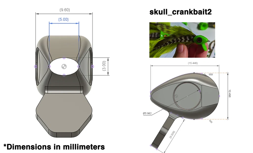 Đầu lâu cá (Fish Skulls) cho Fly Tying - Image 4