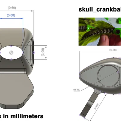 Đầu lâu cá (Fish Skulls) cho Fly Tying