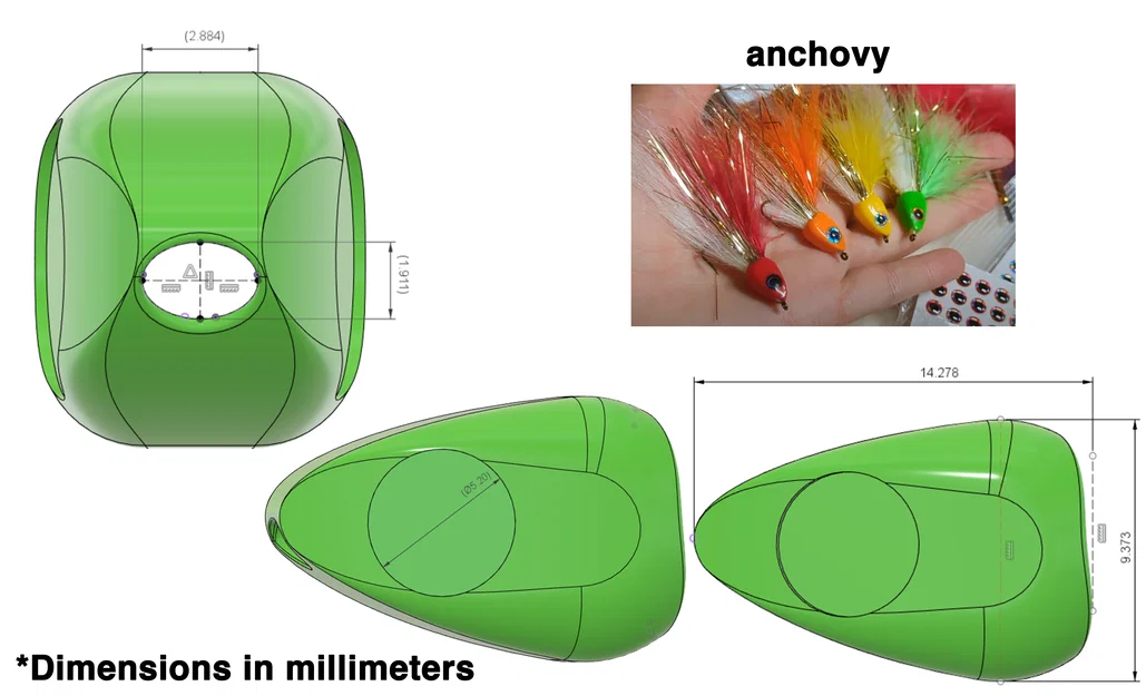 Đầu lâu cá (Fish Skulls) cho Fly Tying - Image 5