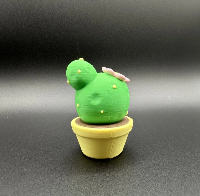 CUTE CACTUS – Xương Rồng Dễ Thương (Không Cần Supports) - Image 3