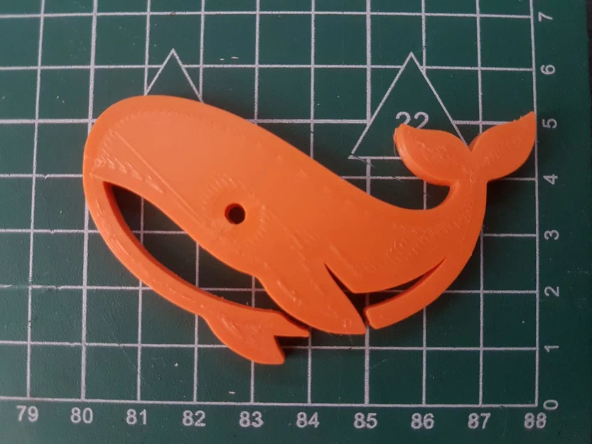 Mô hình chú cá voi Just Whale dễ thương in 3D nhanh chóng - Image 2