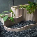 Chậu Trồng Cây Thủy Sinh Nhỏ | Aquascape Nhiều Tầng - Thumbnail 1