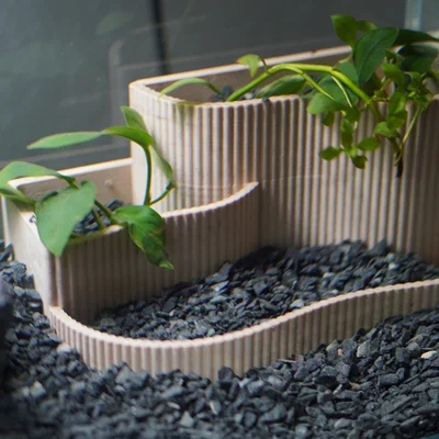 Chậu Trồng Cây Thủy Sinh Nhỏ | Aquascape Nhiều Tầng