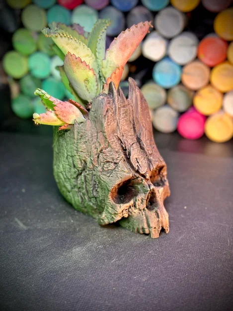 Mô hình trang trí đầu lâu gỗ 3D - Đa năng làm chậu cây, ống bút - Image 1