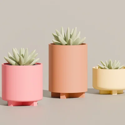 Chậu Cây Nâng Đế Chữ X (X-Base Elevated Pot Plant) - Trang Trí Nhà