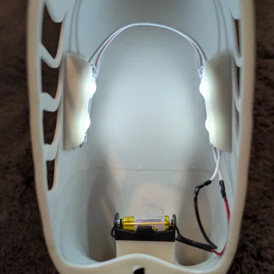 Chim ưng đẹp với đôi cánh sáng