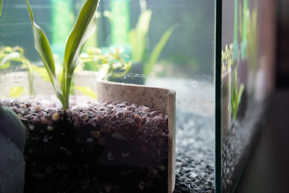 Vách Chắn Nền Hồ Thủy Sinh Trồng Cây (Aquarium Retaining Wall for Planted Tanks) - Image 6