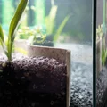 Vách Chắn Nền Hồ Thủy Sinh Trồng Cây (Aquarium Retaining Wall for Planted Tanks) - Thumbnail 6