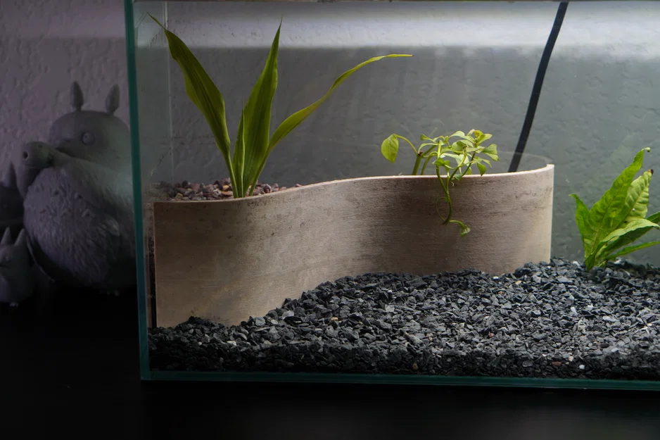Vách Chắn Nền Hồ Thủy Sinh Trồng Cây (Aquarium Retaining Wall for Planted Tanks) - Image 7
