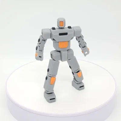 3DP-RNS - Robot print in place