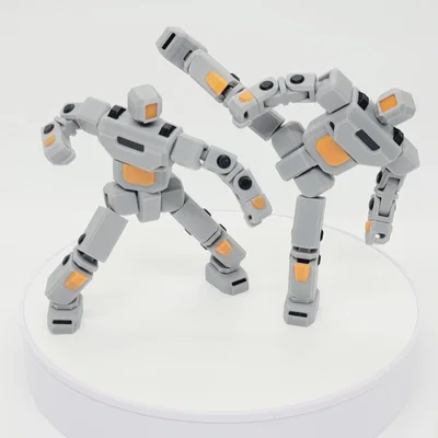 3DP-RNS - Robot print in place