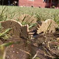 Mô hình khủng long Triceratops khớp nối linh hoạt in 3D - Thumbnail 2