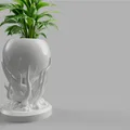 Chậu cây cảnh nghệ thuật Exotic plant pot - Thiết kế xúc tu độc đáo - Thumbnail 1