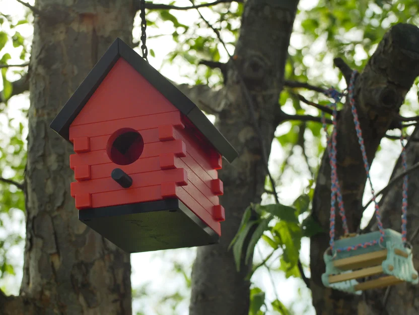Tổ Chim Của Ông Ngoại (Grandpa's Birdhouse) - Image 1