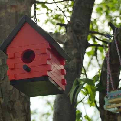 Tổ Chim Của Ông Ngoại (Grandpa's Birdhouse)