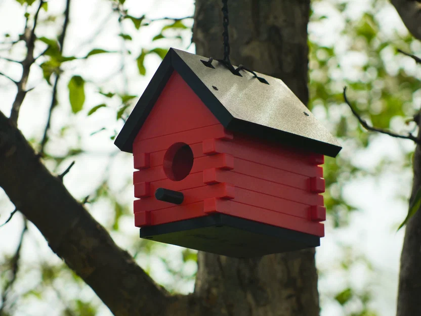 Tổ Chim Của Ông Ngoại (Grandpa's Birdhouse) - Image 2